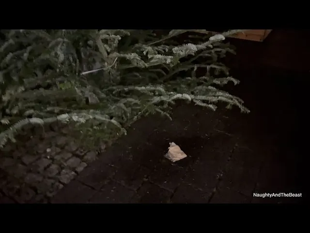 Oh Tannenbaum, Publicpiss ????
