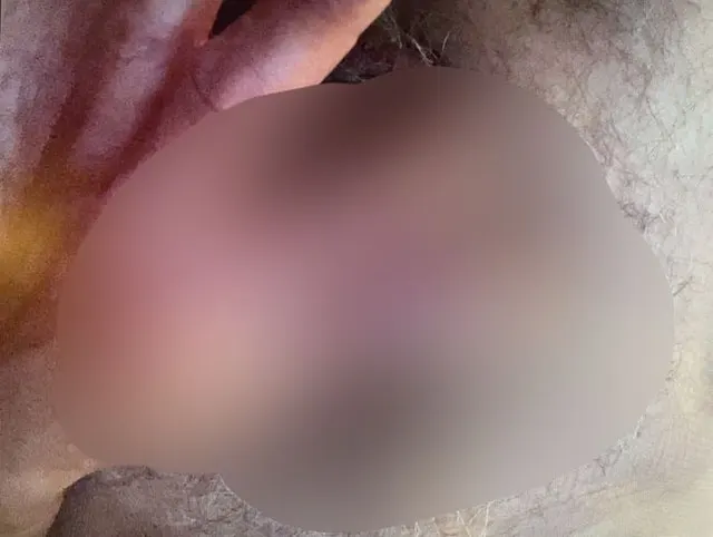 Geil Schwanz bearbeitet und massiert.--fett abgespritzt – 22.10.23,