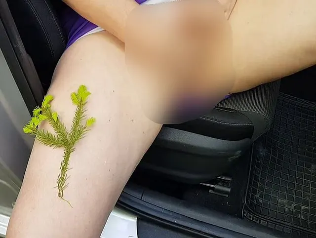 Am Parkplatz habe ich mich vor Geilheit schnell gefingert ...
