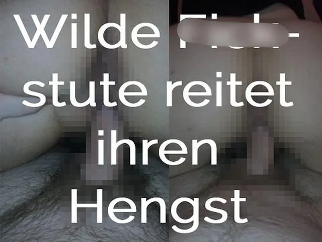 Geile Fickstute reitet ihren Hengst
