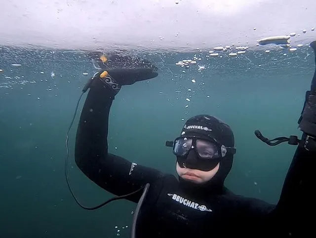 Profilbild von Free-divers