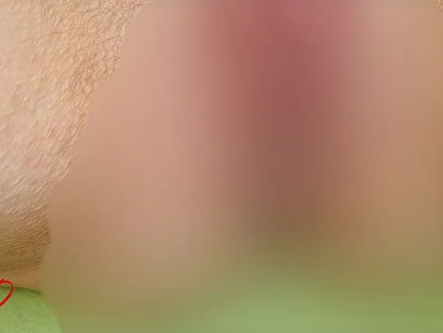 Meine Schmetterlingsmuschi wird draußen im Wald gefickt und eingesaut