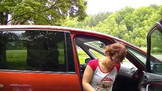 Pissen aus dem Auto