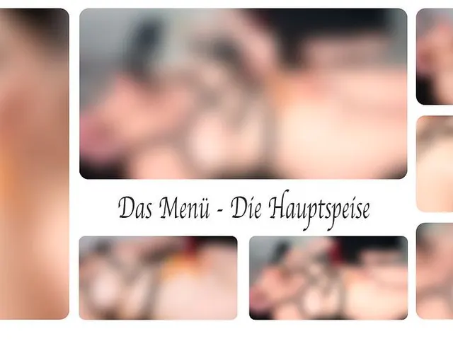 Das Menü  -  Die Hauptspeise
