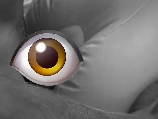 Die Gummipuppe in den Arsch gefickt und ordentlich abgesamt