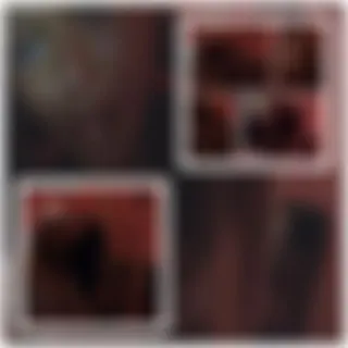 1Advent,Sklavenansage