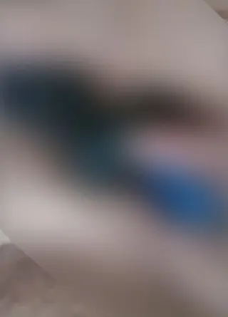 Ich konnte es wieder nicht lassen !