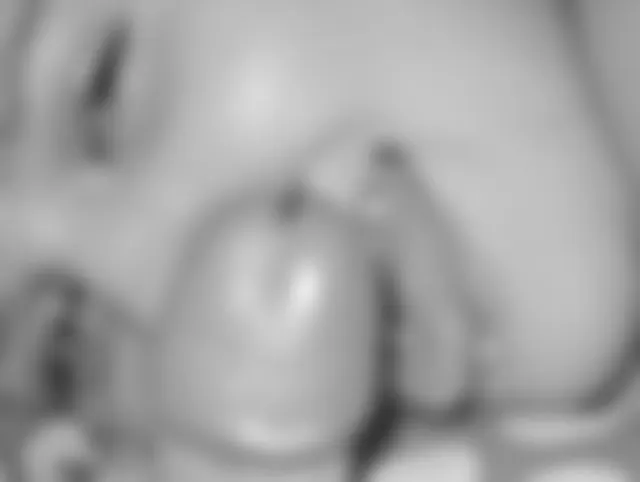 BLOWJOB AM ABEND