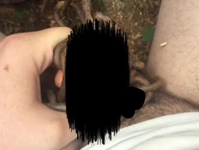 Prügel aus Schweren Rost Ketten Befreien