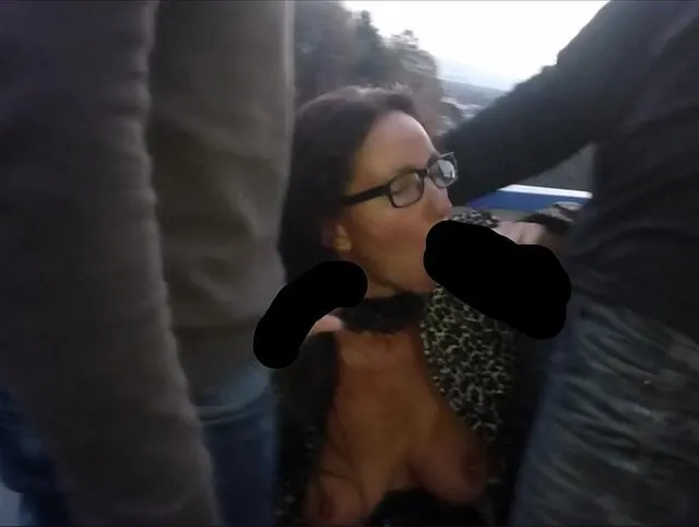 Die Nachbarin braucht Schwänze, Teil 1