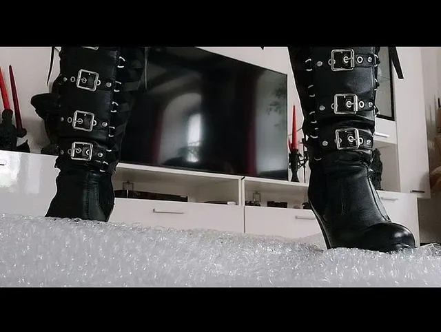 WUNSCH VIDEO MAX