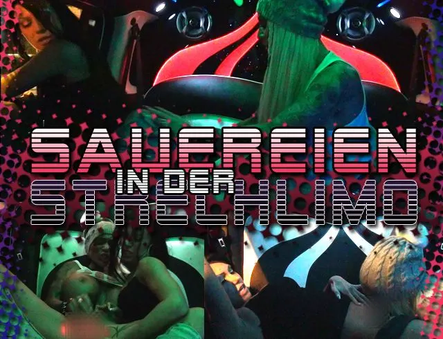 Schweinerrei in der Strechlimo