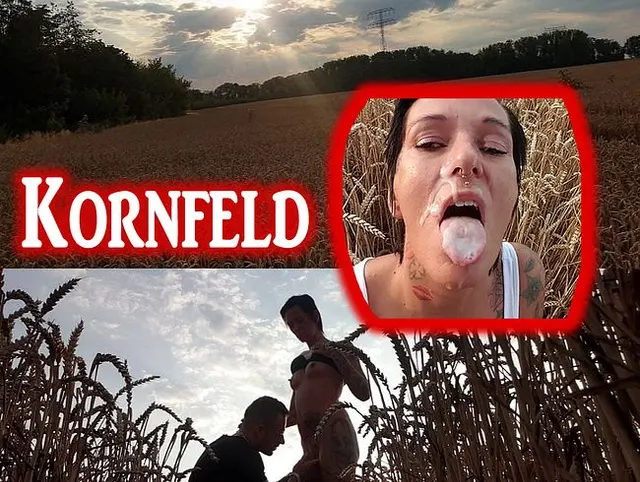 Mitten im Kornfeld