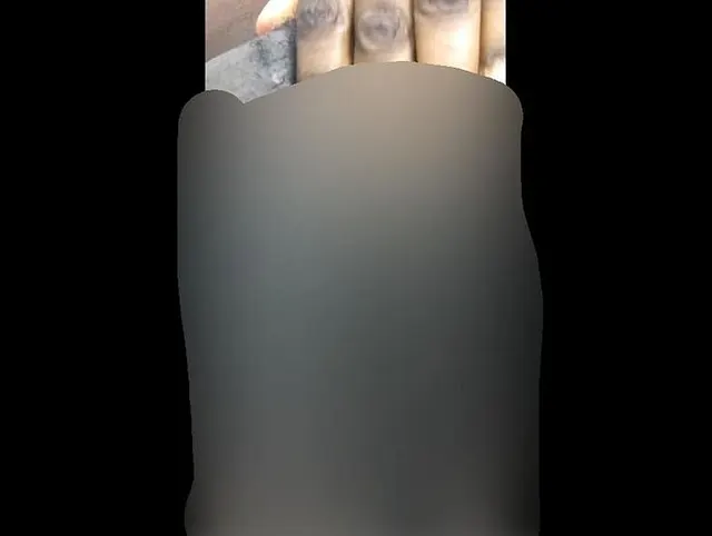 Ich rieb meine haarige Muschi