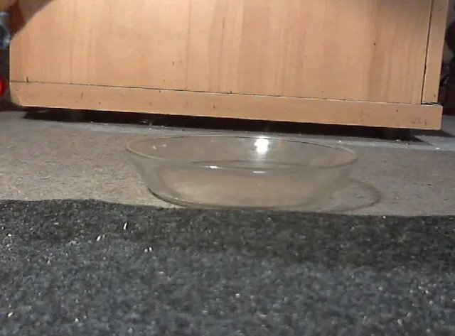 als Hund aus der Schale geschleckt