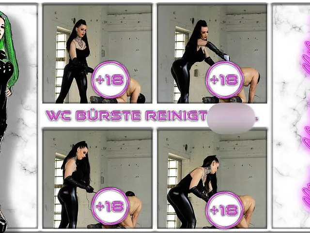 WC Bürste reinigt Anal