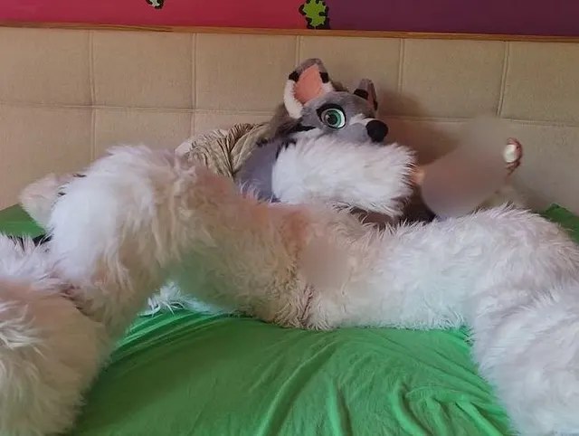 Dildo in fluffy pussy