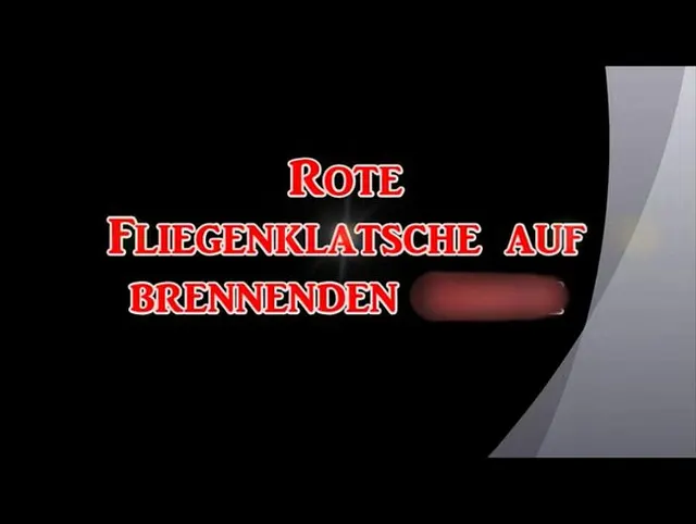 Rote Fliegenklatsche auf brennendem Arsch  (3. Teil)