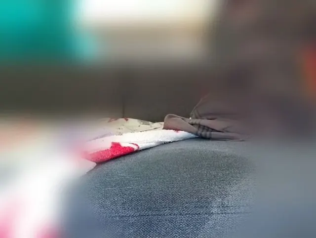 Nahaufnahme Muschi
