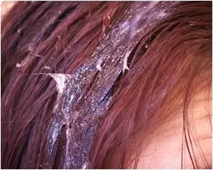 HAIR JOB