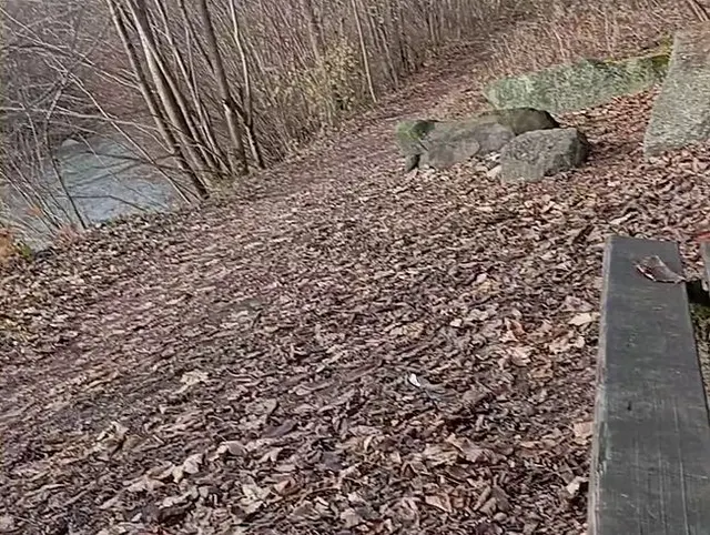 Auf den Wanderweg gespritzt....
