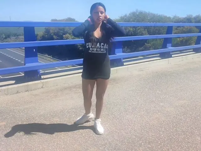 Ficken auf der Autobahnbrücke