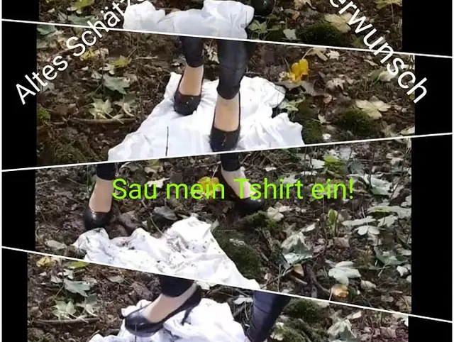 Userwunsch! Sau mein Tshirt ein!