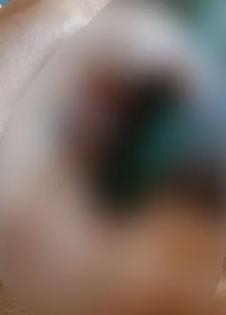 Erntezeit!