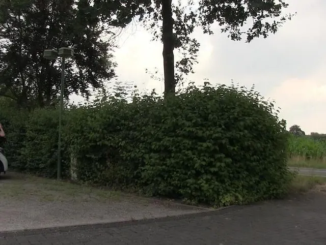 PUBLIC! Bin ich eine Schlampe?! AO gefickt beim 1. Date!