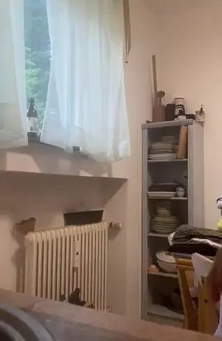 am reine machen (Ohne ton)