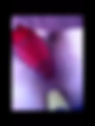 Löcher gestopft