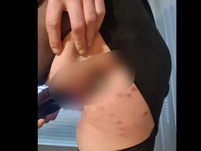 Mit Analstöpsel und Vibrator zum Orgasmus