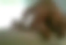 sally get fucked hard