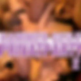 Privatparty 2 - Schänze blasen und Muschis lecken