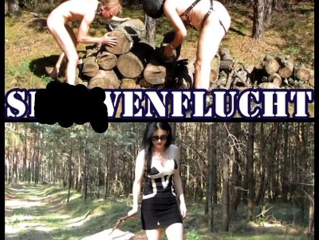 Sklavenflucht