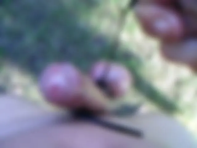 Profilbild von skalar03