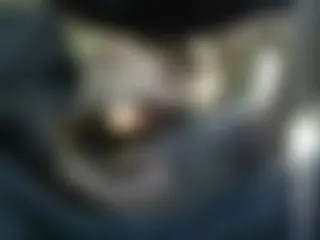Im  Auto  ausgesaugt