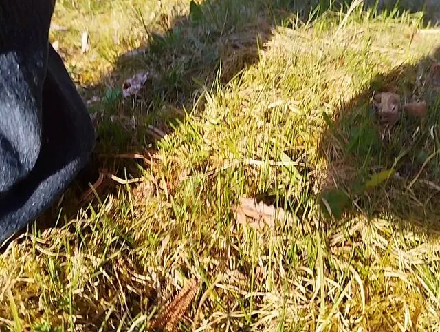 In freier Natur meinem geilen Bedürfnis nachgegeben