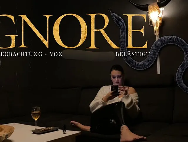 IGNORE - STILLE BEOBACHTUNG • VON UNBEKANNTEM BELÄSTIGT