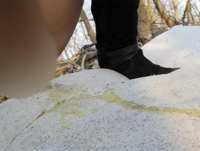 Matratzen Piss