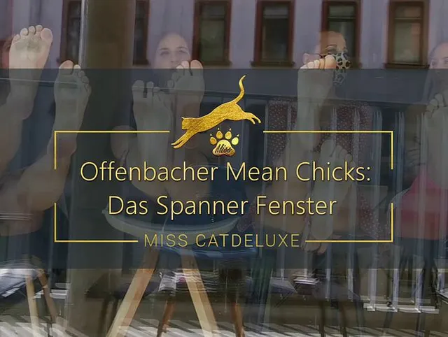 Offenbacher Mean Chicks: Das Spanner Fenster