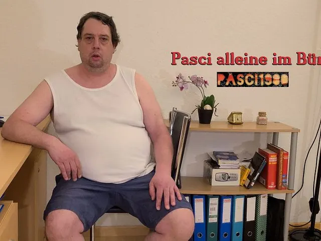 Pasci alleine im Büro