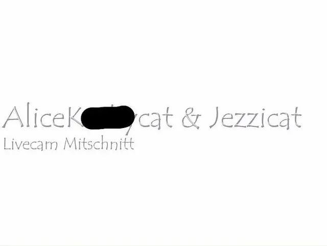 Livecam Mitschnitt_Scherenkatzen