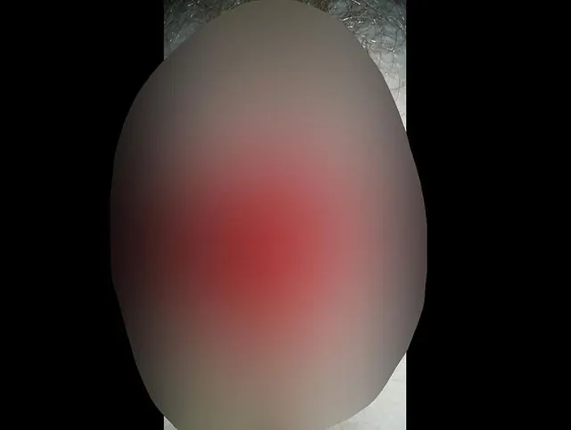 Haarige gepiercte Pussy