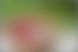 Videotest Nummer 2