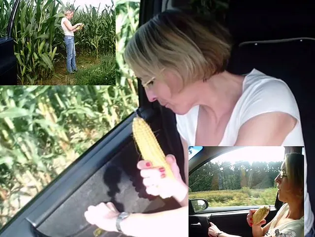 Kolbenfick im Auto