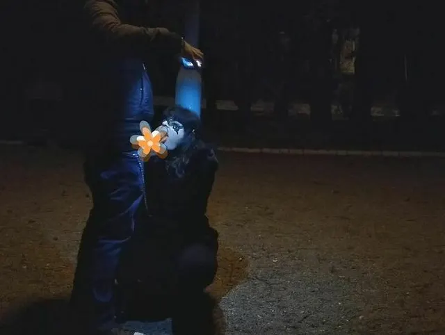 MILF-Hure gibt an einem öffentlichen Ort einen Blowjob an der Leine
