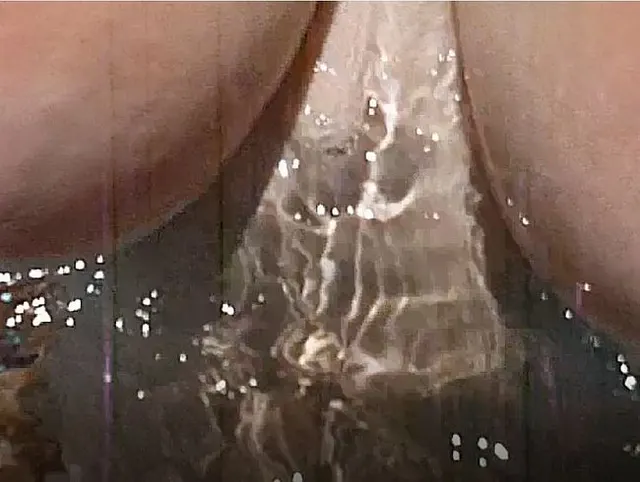 Im Wasser gefickt