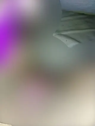 Purple vibrator and my clitoris