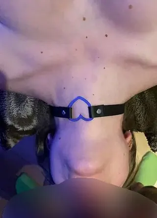 Lieblingsschwanz